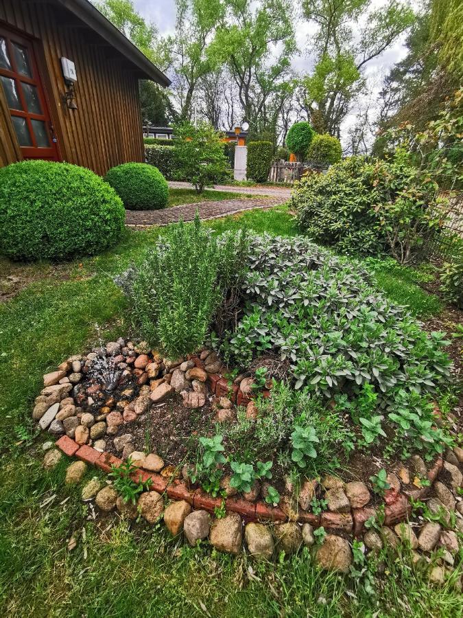 Ferienhaus In Absoluter Seenaehe Fuer 4 Personen Arendsee  Ngoại thất bức ảnh